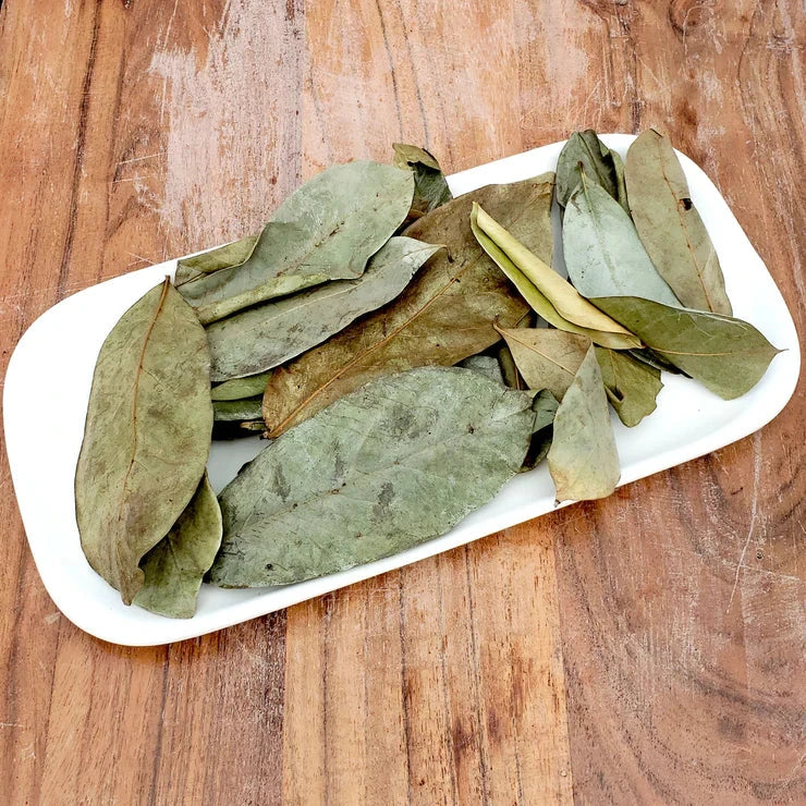 Soursop Leaves Dried