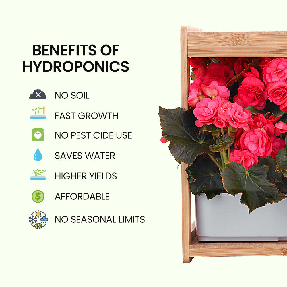 NNEMB 12 Pod Indoor Hydroponic Growing System with Bamboo Frame & LED Lights